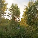 Brzozowy Zakatek