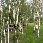 Brzozowy Zakatek * Zarnowska