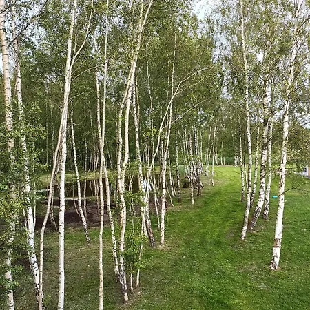 Brzozowy Zakatek * Żarnowska