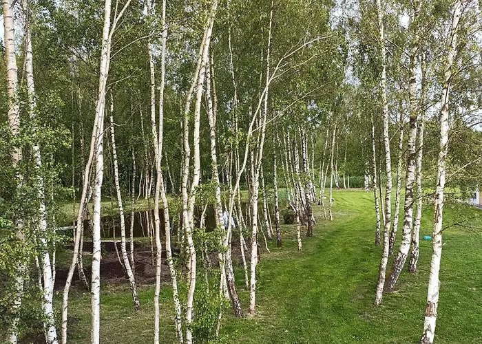 Brzozowy Zakatek * Zarnowska