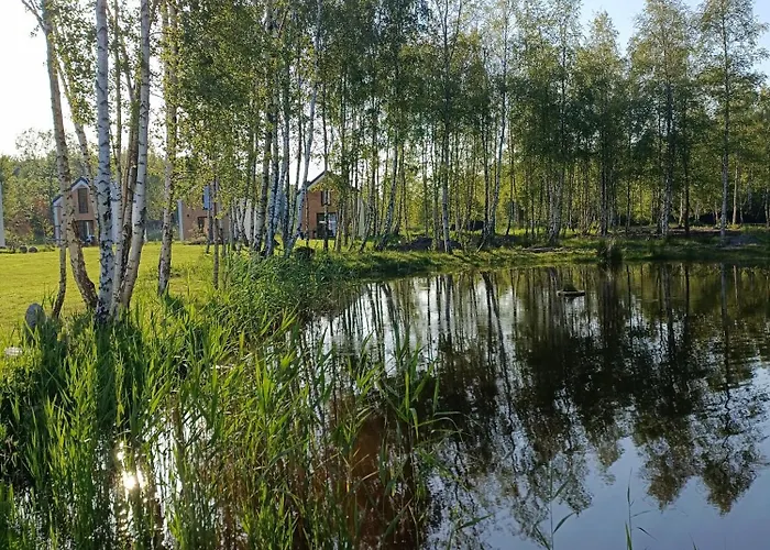 Brzozowy Zakatek Zarnowska