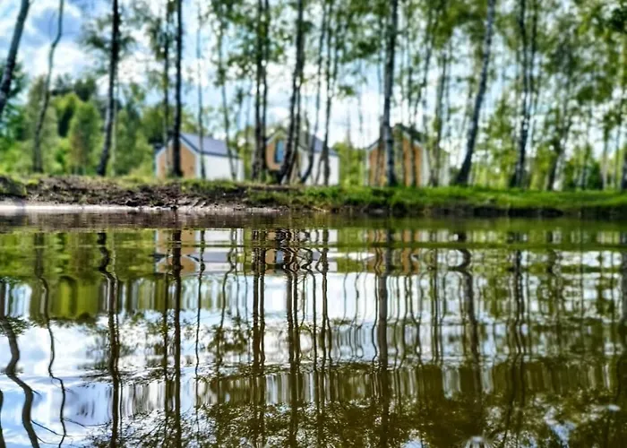 Brzozowy Zakatek Zarnowska